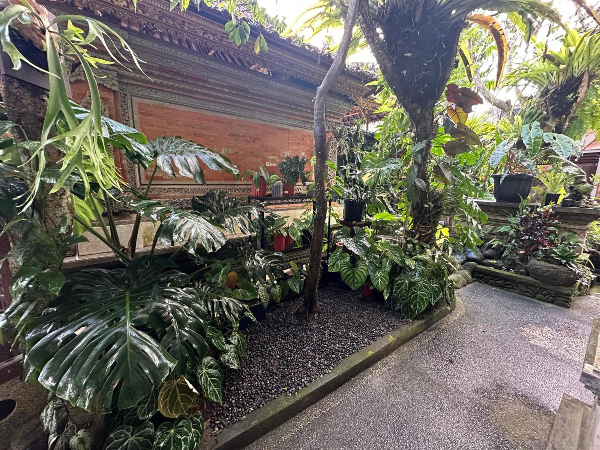 Naeera Guest House Ubud Esterno foto