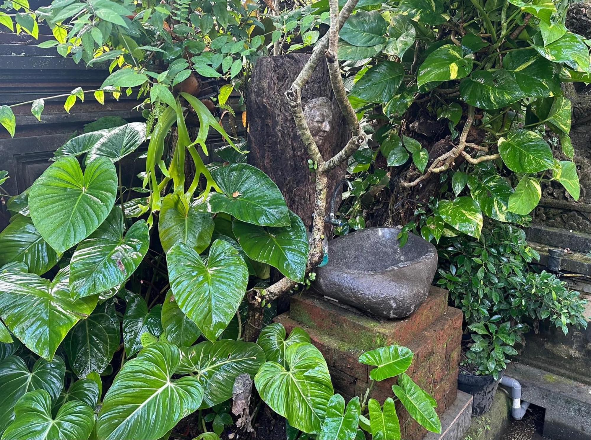 Naeera Guest House Ubud Esterno foto