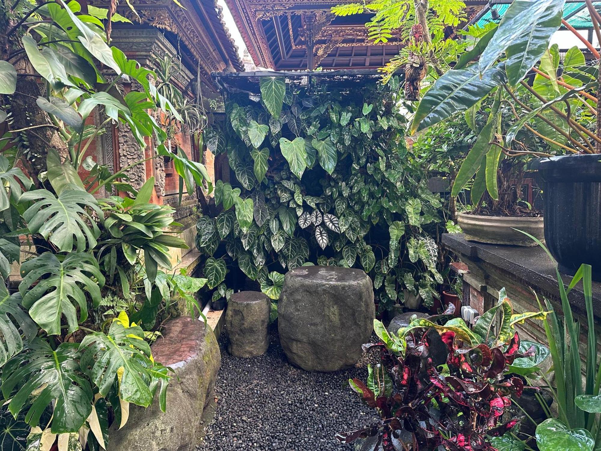 Naeera Guest House Ubud Esterno foto