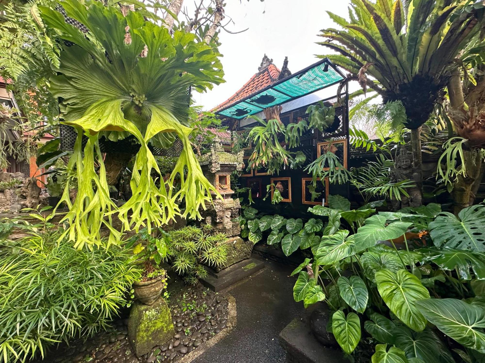 Naeera Guest House Ubud Esterno foto
